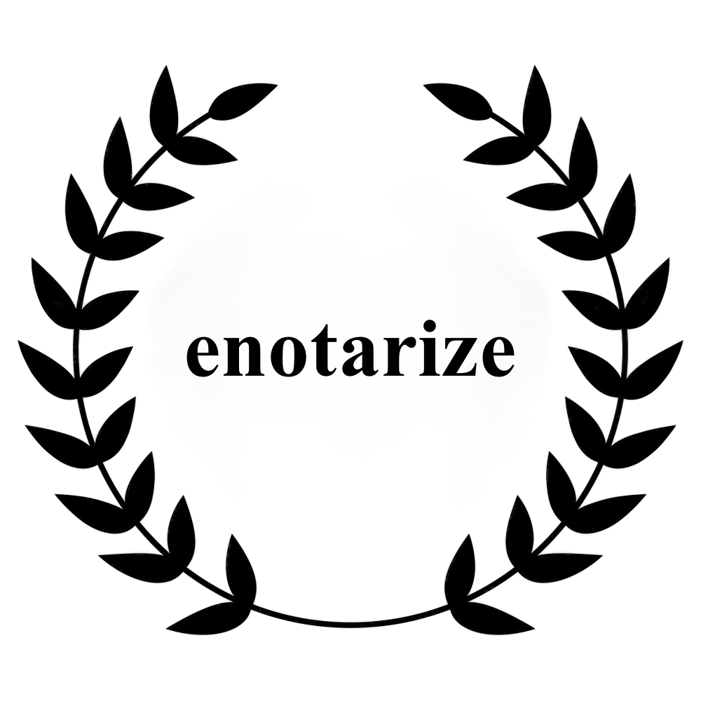 ENOTARIZEIL LLC